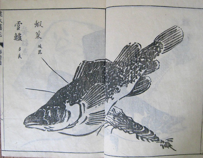 Kanyosai, Kenshi Gaen
1771