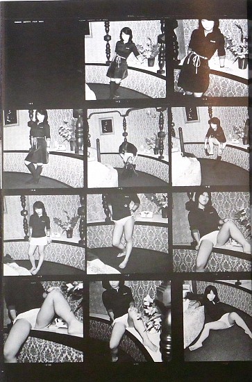 Noboyoshi Araki, Essays of Photography
1980