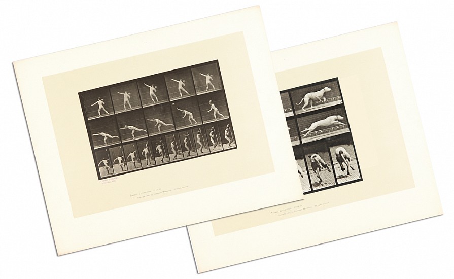 Eadweard Muybridge, Animal Locomotion - Large portfolio of 100 plates
1960's edition