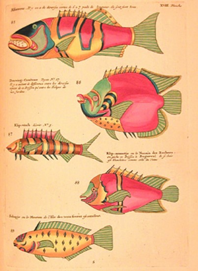 Renard, Poissons, Ecrevisses et Crabes  
1754