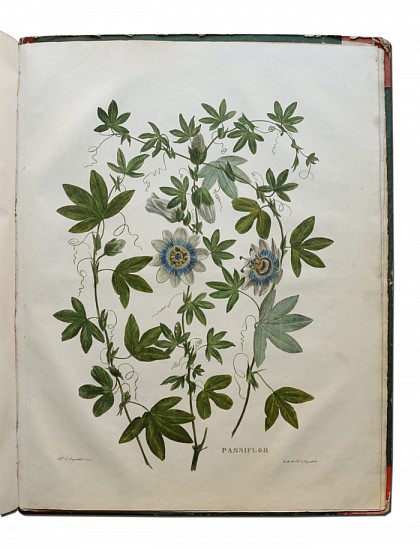 Charles d' Aiguebelle, Homographie
1828