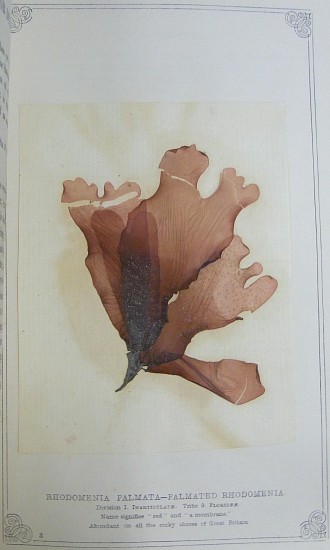 Robert Kaye Greville, Algae Britannicae
1830