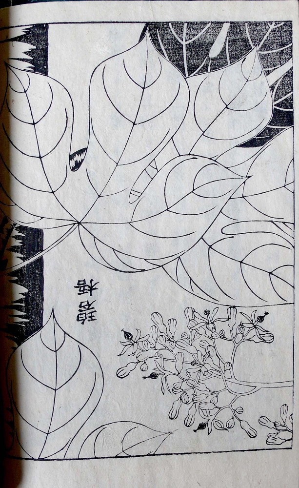 Ranzan And Mitsufusa Shimada Ono Kai Selected Flowering Plants New Proof Read Edition 1759 Zucker Art Books