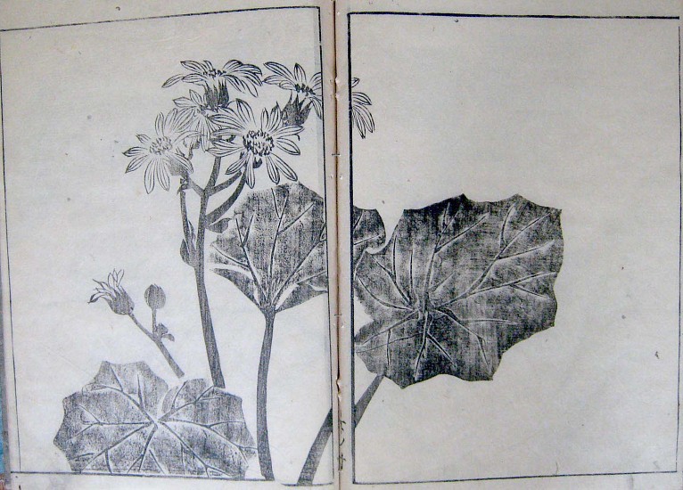 Jamaguchi Soken, Soken Gafu Soka No Bu
1804-06