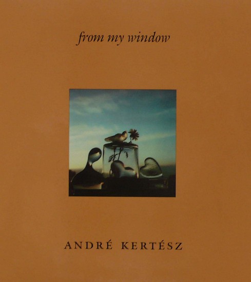 Andre Kertesz, From My Window
1981