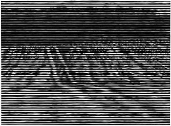 Christiane Baumgartner Gelande