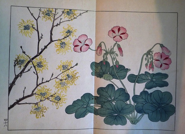 Sakai Hoitsu, Suzuki Sonoichi, and Nakano Sonoaki, Shiki no hana [Flowers of the Four Seasons]
1908
