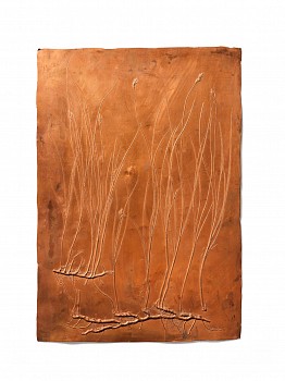 b057 ettingshausen pokorny b 320 x 455mm