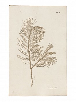 hoppe 1787 0545 low res 3000px srgb