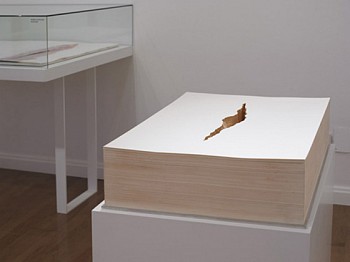 img000620