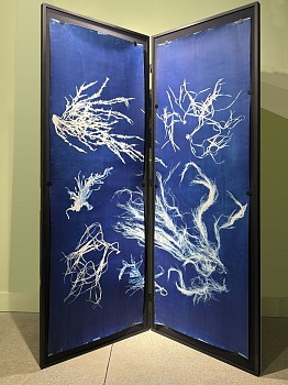 2024 02 03 12.13 copy