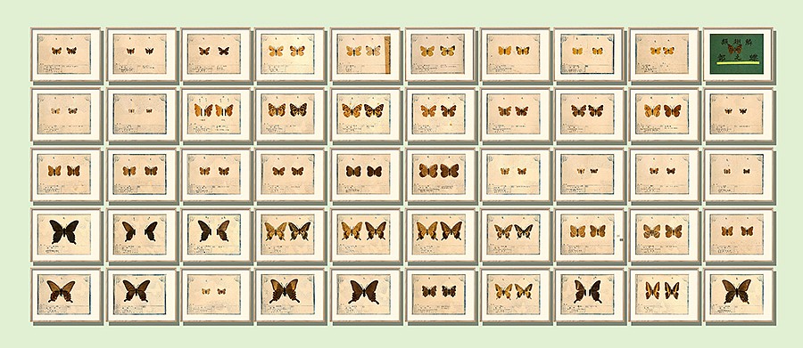 MAILING LIST BOOTH LAYOUT50 off reduction LD2 copy900dpi