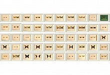 wall of butterflies copy